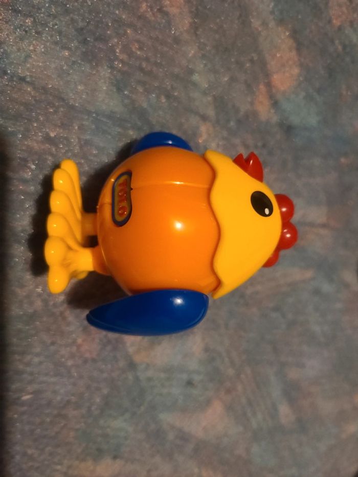 Poule tolo - photo numéro 2