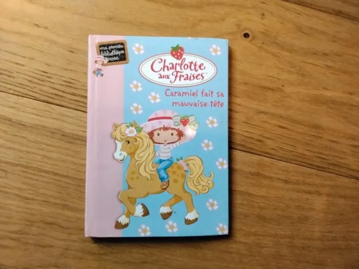 6 Livres Charlotte aux Fraises. - photo numéro 5