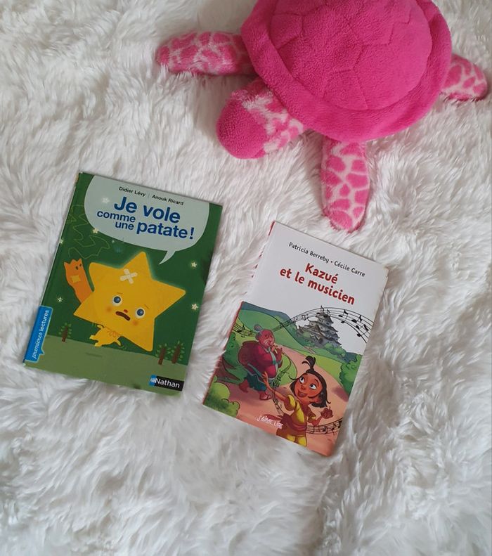 📚 Lot 2 petits livres 📚