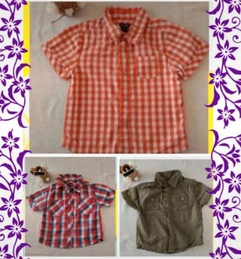 Lot de 3 chemisettes