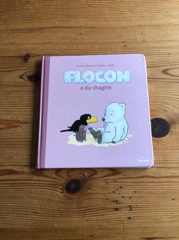 Livre Flocon a du chagrin