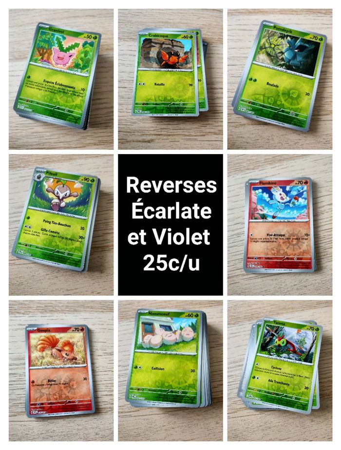 Reverses Bloc Écarlate et Violet