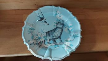 Assiette en plastique