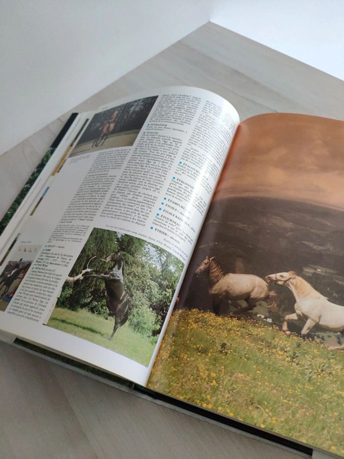 Livre le cheval Dictionnaire encyclopédique Toundra pml éditions - photo numéro 5