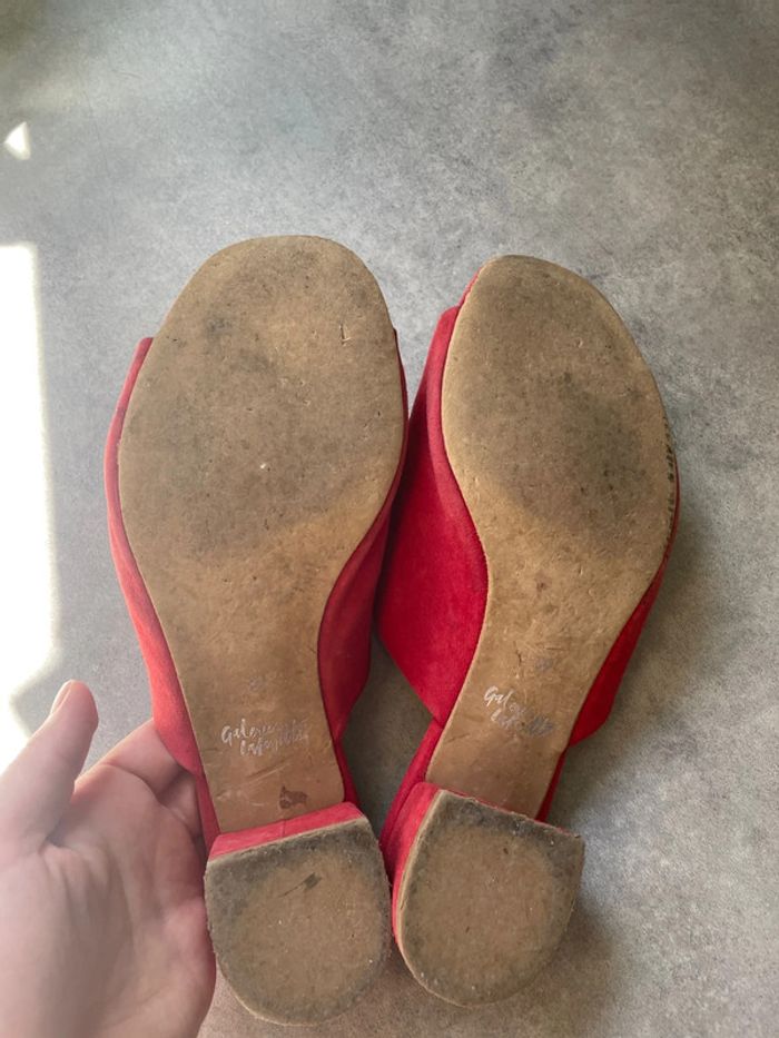 Mules - photo numéro 8