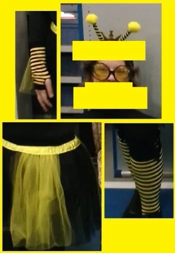 Costume abeille adulte