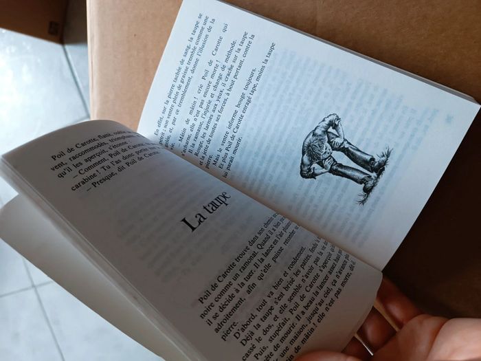 Livre de Jules Renard poil de carotte 🥕 - photo numéro 3