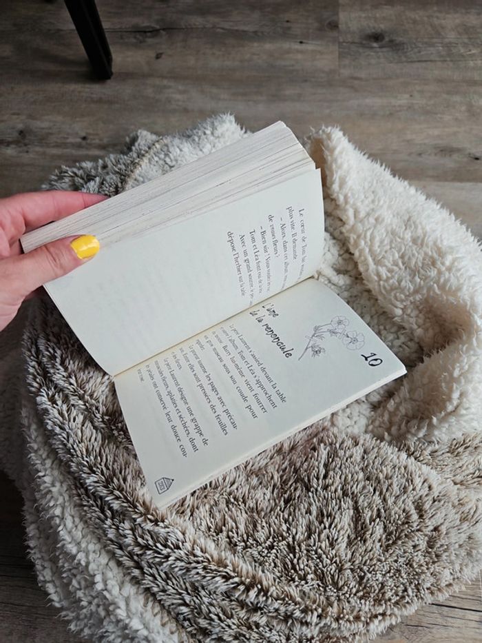 Livre - photo numéro 10