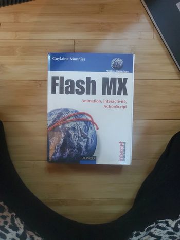 Livre flash mx informatique internet pour les sites