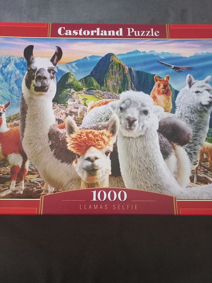 Puzzle 1000 pièces castorland lamas