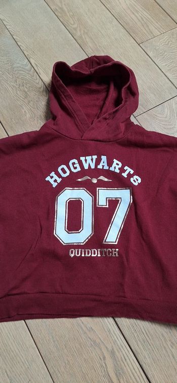 Sweat à capuche Quidditch