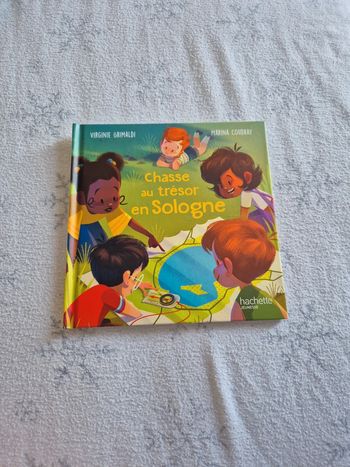 Livre mcdo cgasse au trésor en sologne