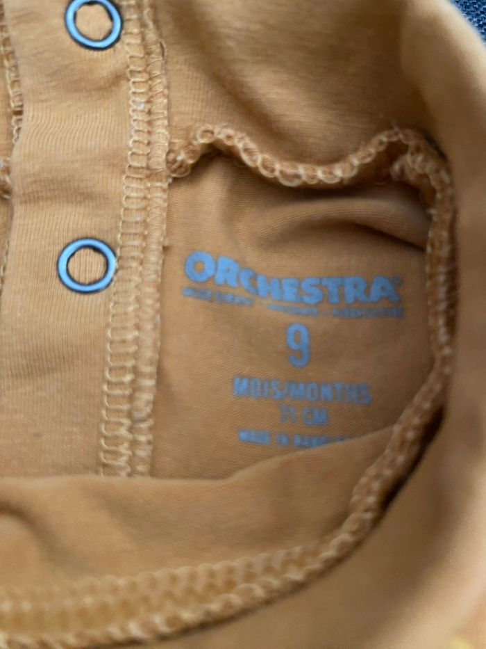 Orchestra - photo numéro 2