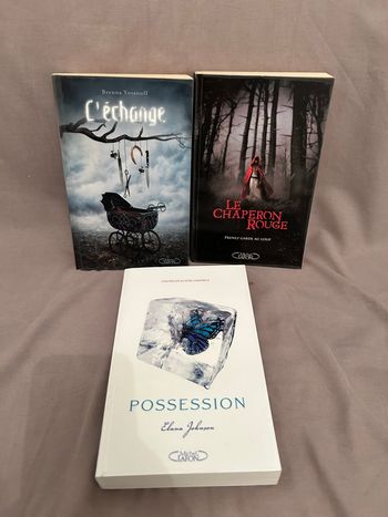 Lot 3 livres jeune adulte édition Michel Lafon