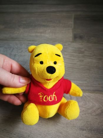 Peluche Winnie ourson