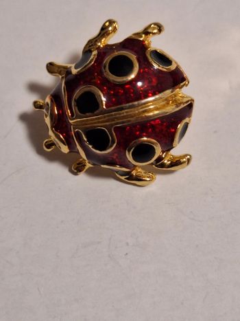 Coccinelle pins lady bug insecte vintage