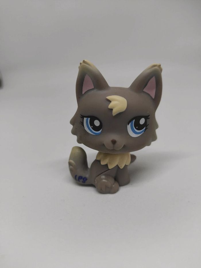 Little Petshop LPS chat persan 1411 cat #geektradelpschat