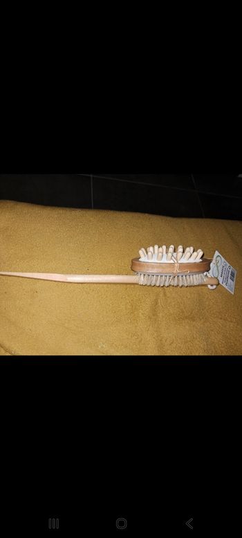 Brosse de bain