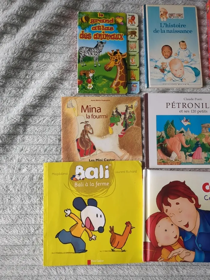 Lot de 9 livres pour jeunes enfants de maternelle - photo numéro 2