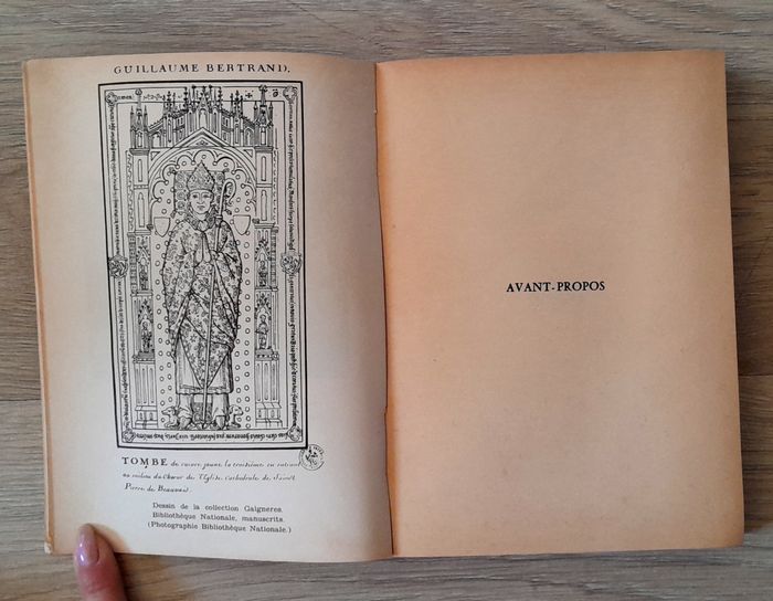 le chevalier au vert lion - Paul bertrand de la glassière - photo numéro 9