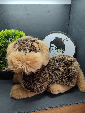 peluche chien couché terrier fox lakeland border griffon marron pyragric Beige