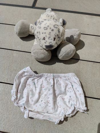 Bloomer DPAM 12 mois