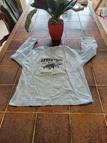 Tee shirt humour râleur boudeur