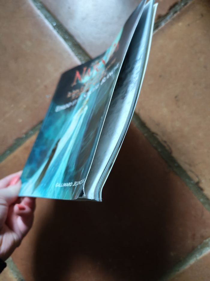 Le Monde de Narnia, chapitre 1 Edmund et la Sorcière Blanche - photo numéro 6