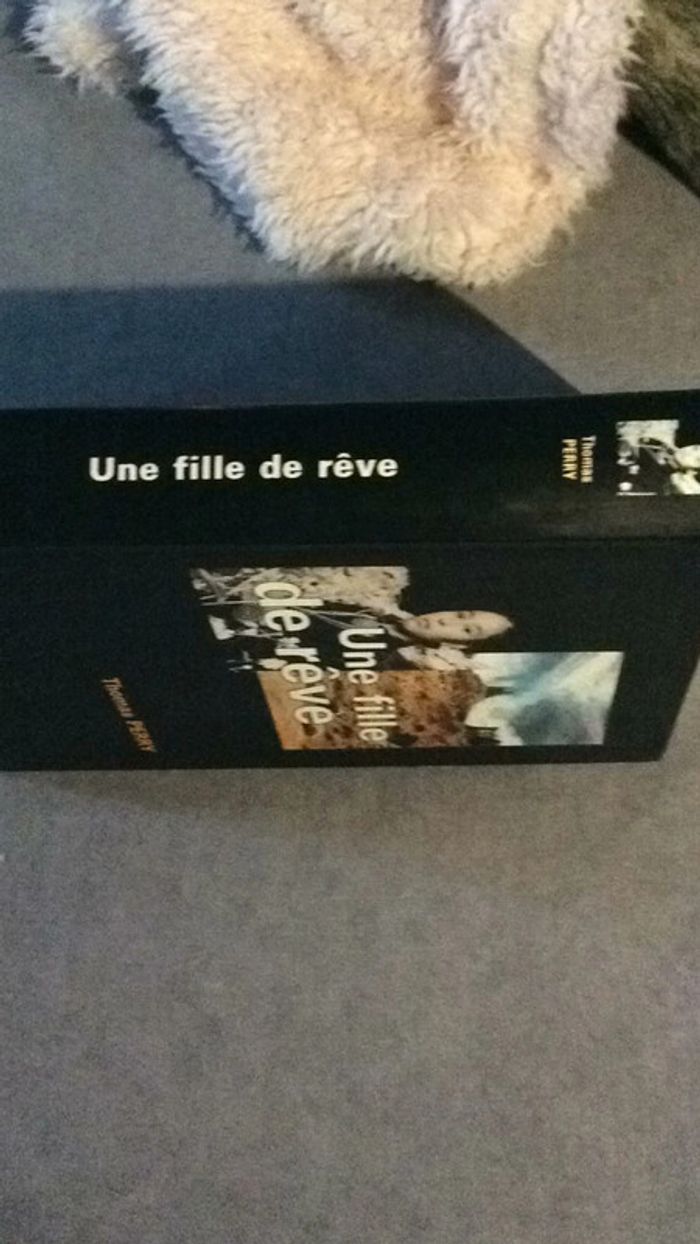 #une fille de rêve Thomas Perry - photo numéro 4