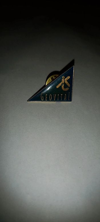 Pin's géovital