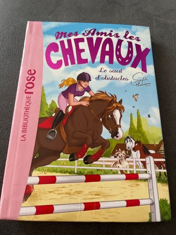 Livre bibliothèque rose mes amis les chevaux tome 17