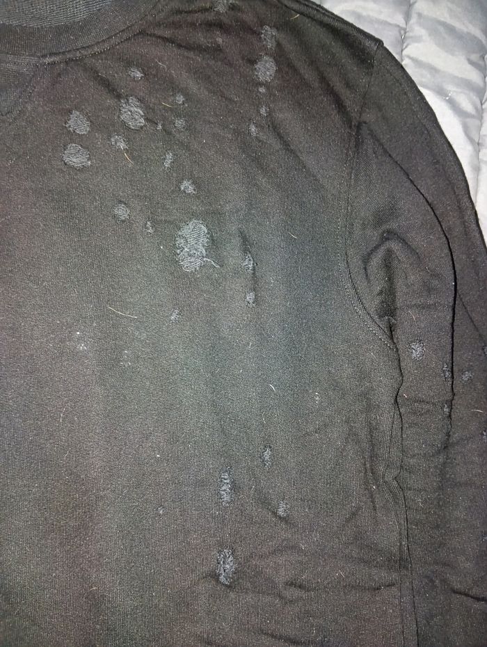 Pull homme - photo numéro 3