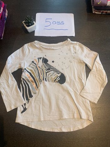 Tee-shirts manches longues taille 5 ans