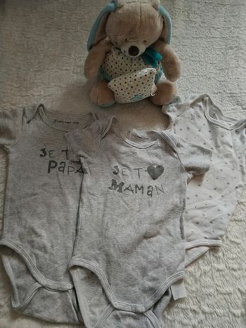 Lot de 3 bodies manches courtes 24mois