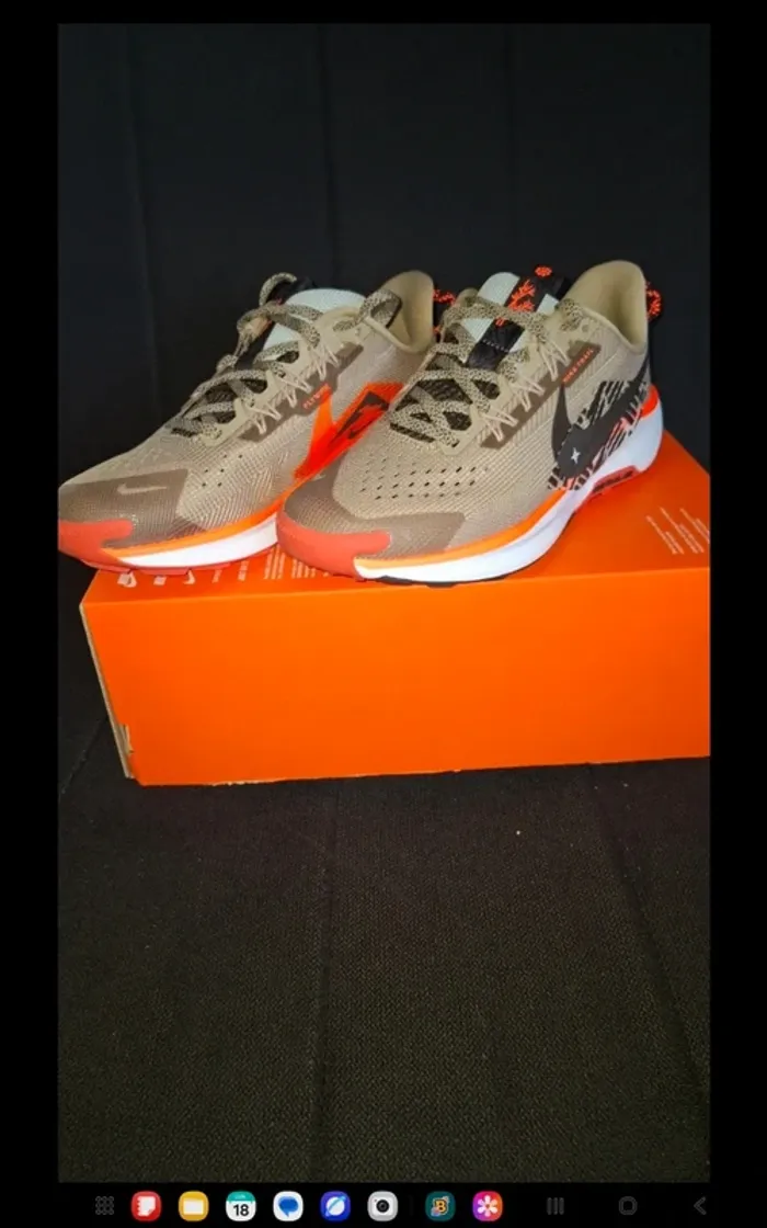 Baskets Nike Pegasus - photo numéro 2