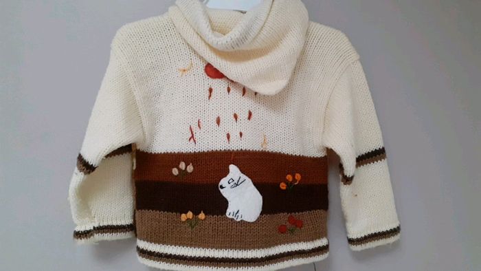 Pull à capuche 6 mois - photo numéro 2