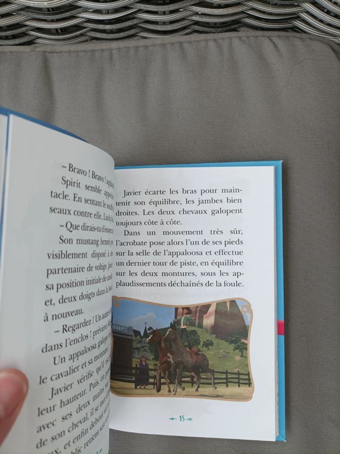 Livre Spirit neuf - photo numéro 6