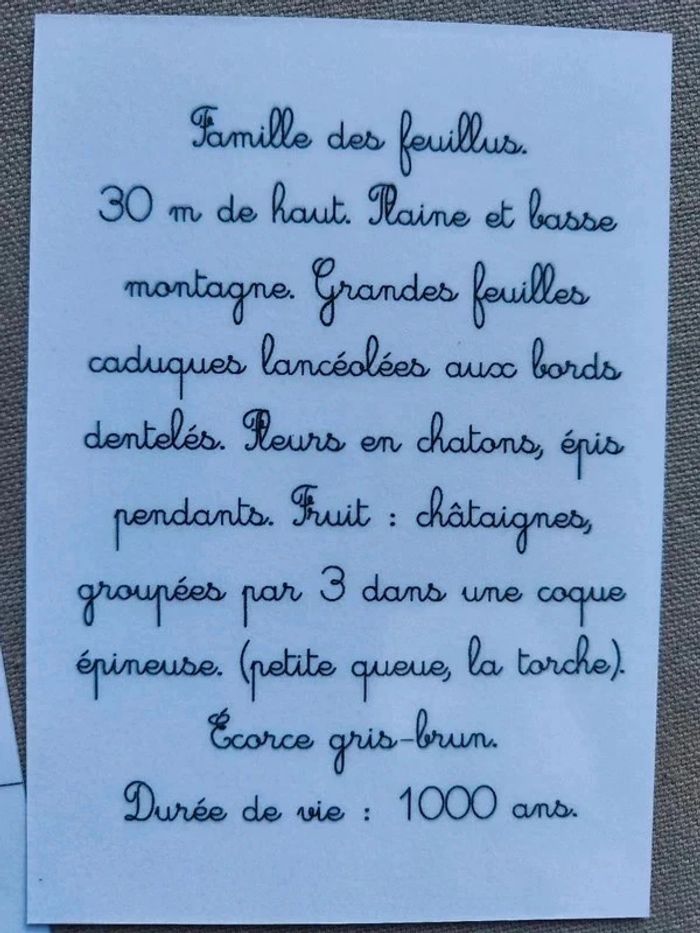 48 cartes de nomenclature recto verso des arbres - photo numéro 7