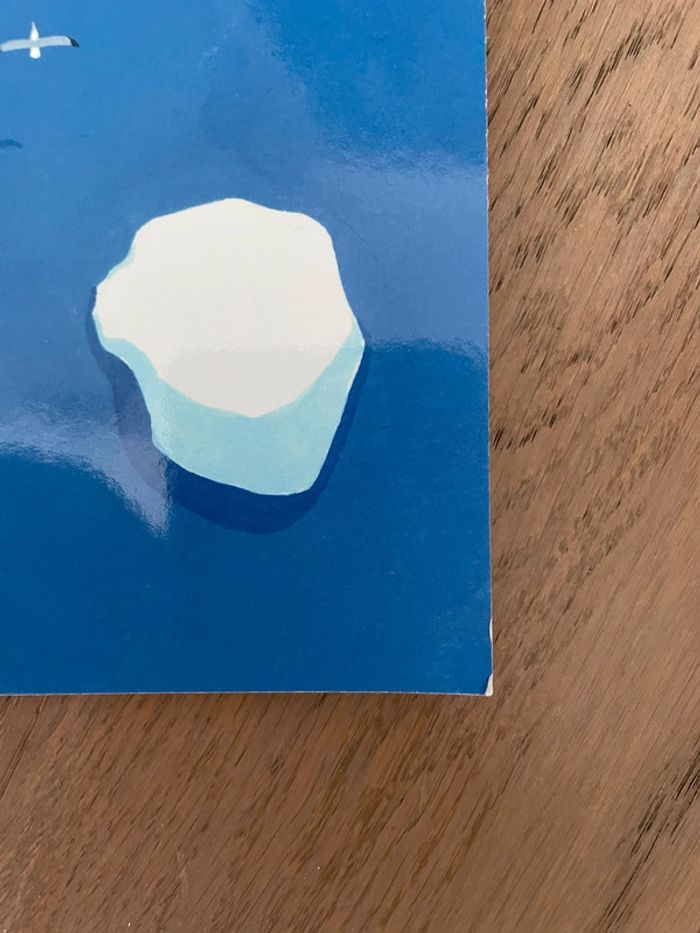 Livre jeunesse La mystérieuse baleine de Daniel Frost - photo numéro 2