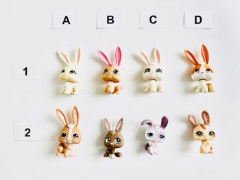 Petshop Lapin - 2€ l’unité