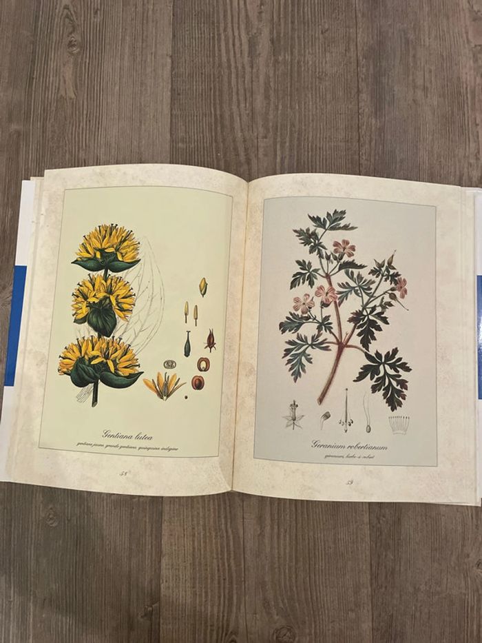 Livre l’herbier des plantes médicinales - photo numéro 4
