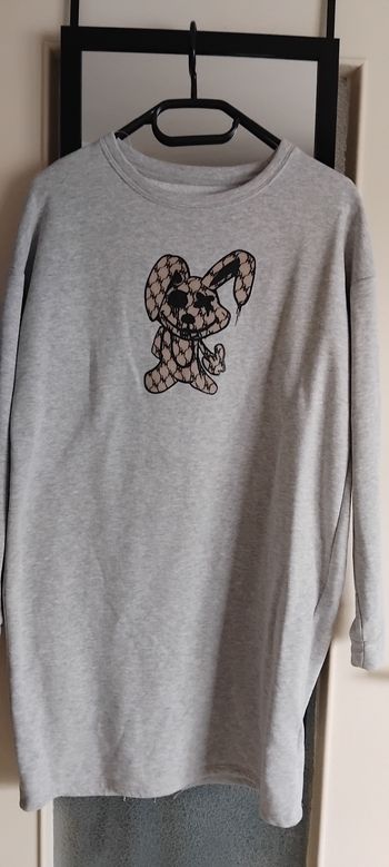 Robe ou tunique grise 