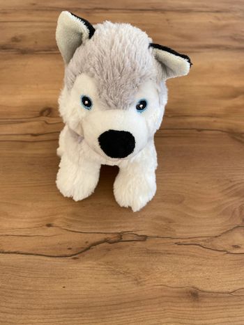 Peluche chien husky
