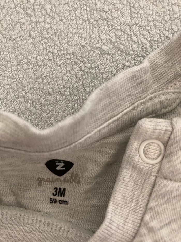 Ensemble grain de blé 3 mois - photo numéro 2