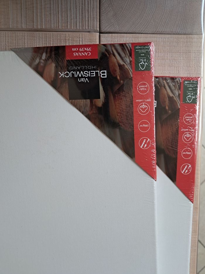 Toiles pour peinture Van Bleiswijck (39x39 cm) - photo numéro 5