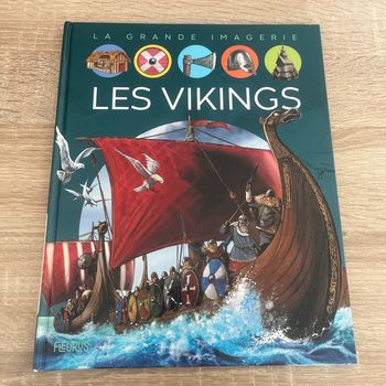 Livre viking