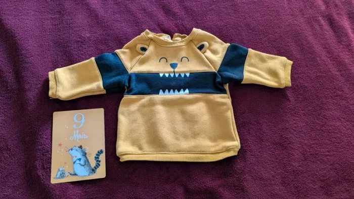 Pull moutarde