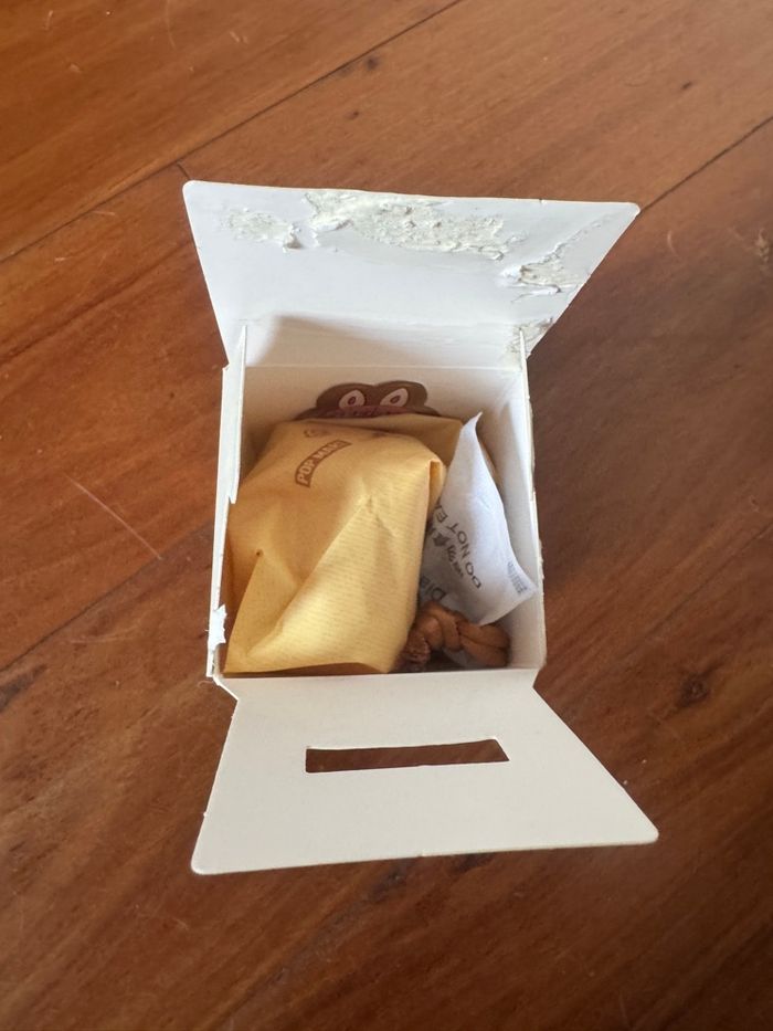 Labubu pin for love cœur secret - photo numéro 5