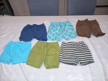 Lots shorts 12 mois