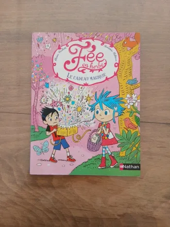 Fée en herbe le cadeau magique